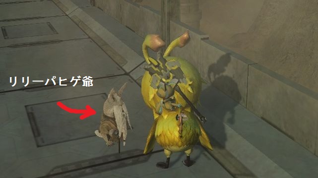 jijy.jpg